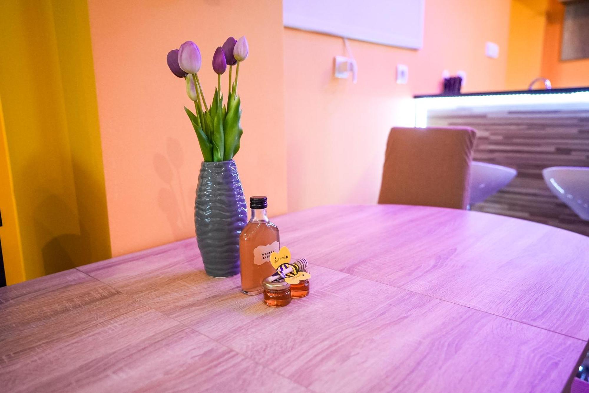 Honey Apartment Lendava Ngoại thất bức ảnh